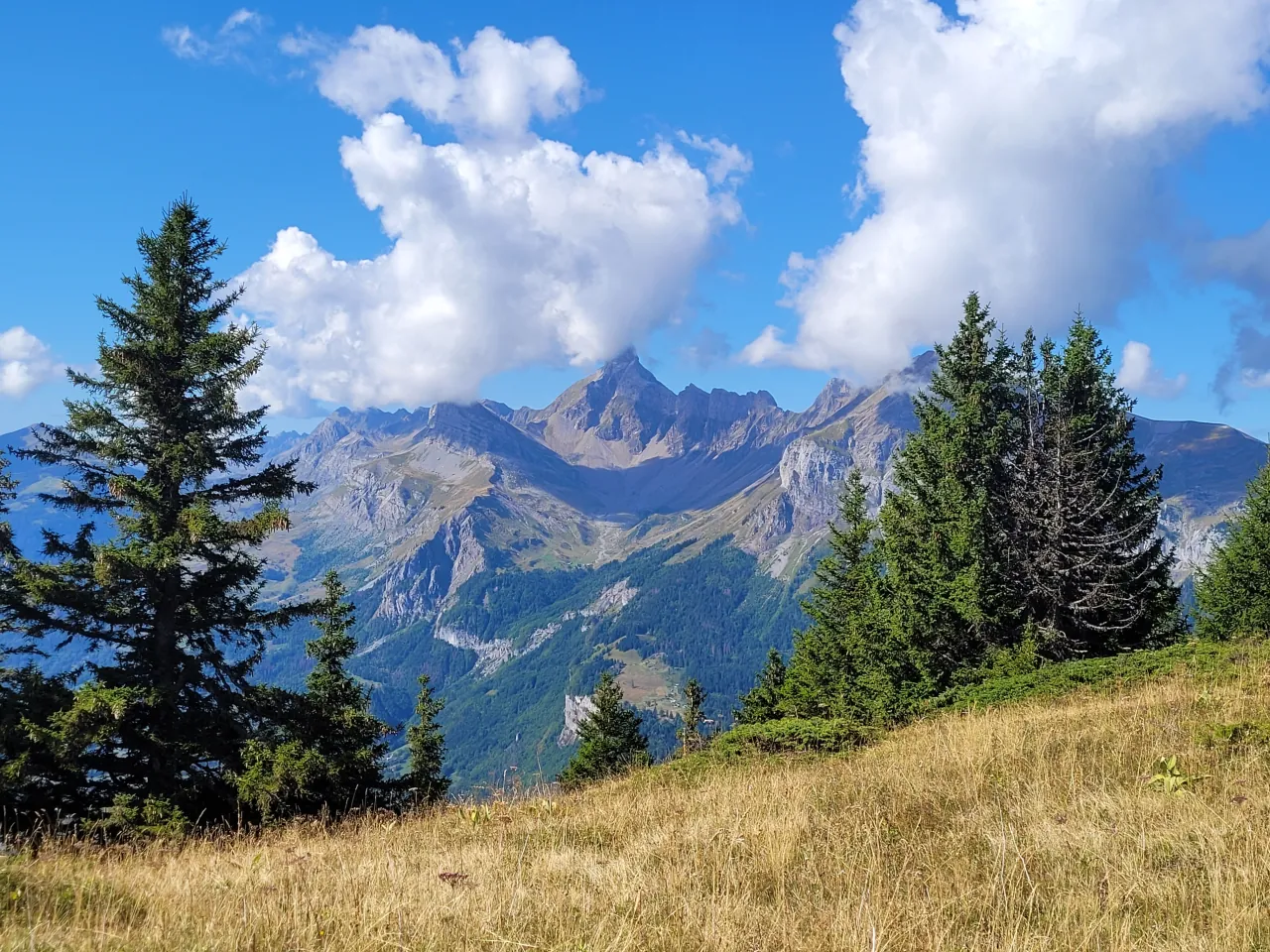 Sommets des Alpes au-dessus de Saint-Gervais — sapins, alpages dorés en fin d'été